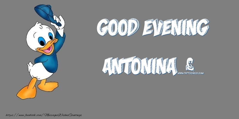 Greetings Cards for Good evening - Good Evening Antonina